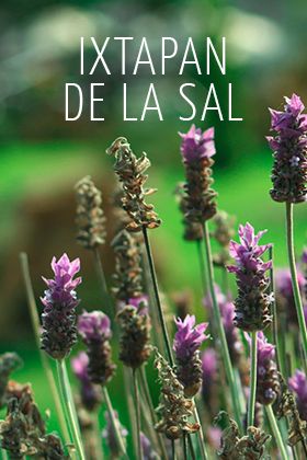 Ixtapan de la Sal