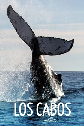 Los Cabos