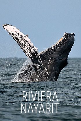 Riviera Nayarit