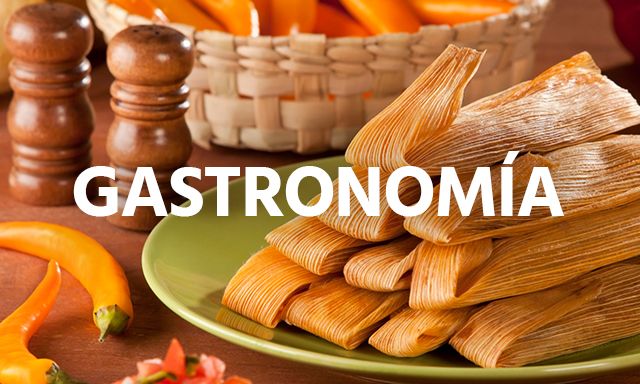gastronomia