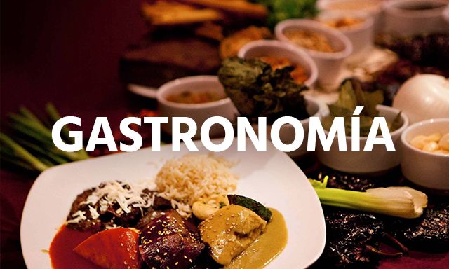 gastronomia