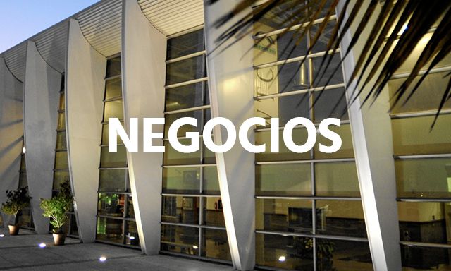 negocios