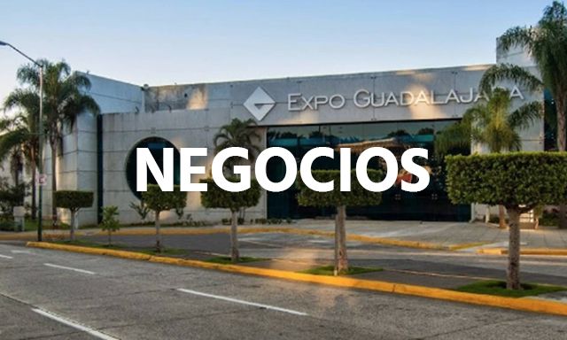 negocios