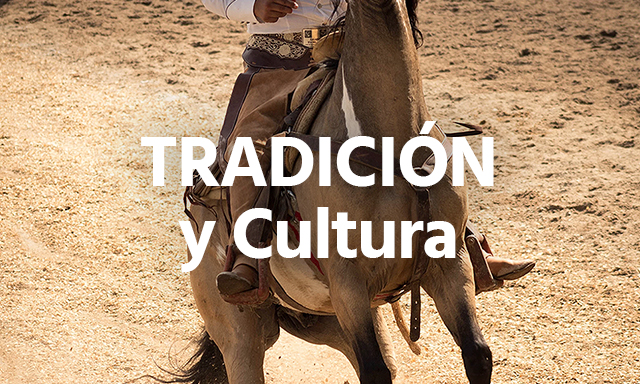tradicion