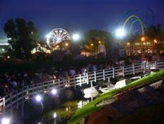 Amusement Park and Roller coasters