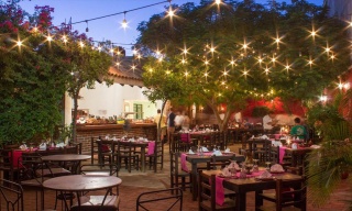 Los Tres Gallos, Los Cabos