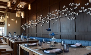 Mestizo del Mar , Los Cabos