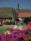 Golf a Los Cabos, Los Cabos
