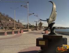 Manta ray  Sculpture, La Paz