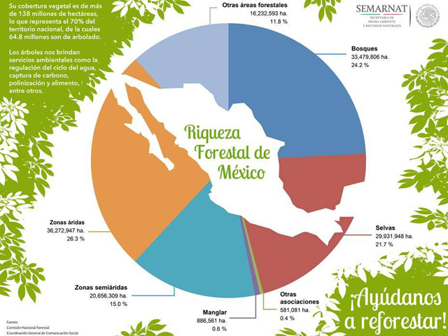 La riqueza forestal de México en cifras 