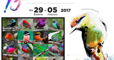 Actividades del XIII Festival Internacional de Aves Migratorias de San Blas