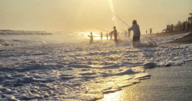 Se llevará a cabo el 11° Torneo de Pesca Deportiva en Riviera Nayarit los días 25 y 26 de noviembre.