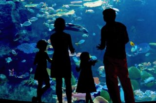 Zoológicos y acuarios de México que debes conocer con tus niños