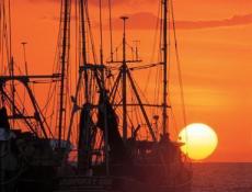 BArcos pesqueros en Campeche.
