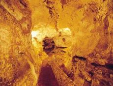 Recorrido seguro y bien iluminado.