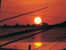 Espectáculo en el Golfo de México.