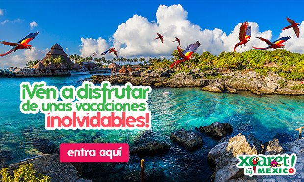 Que hacer en Playa del Carmen