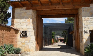 UVENCE ARTE HOTEL, Entrada