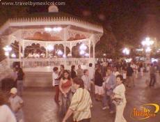 Visitors and tuxtlecos come together to dance to the song of the woods