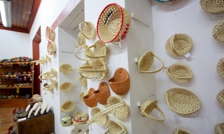 CesterÃ­a Chiapaneca