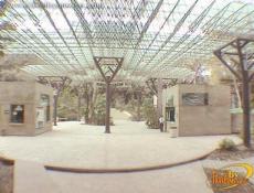 Corredores dentro del Zoológico