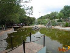 Lago artificial con área de comedor y mirador.