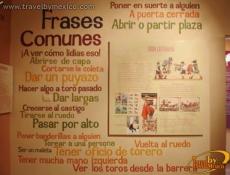 El toro dentro de la cultura popular.
