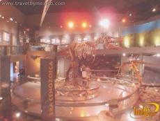 Un museo moderno y lleno de información.