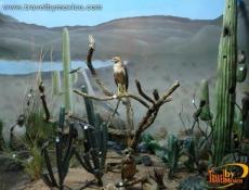 Museo de las Aves en Saltillo