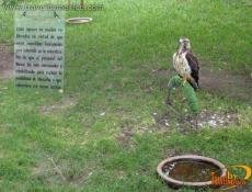 Museo de las Aves en Saltillo