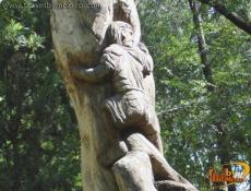 Escultura tallada en Ã¡rbol.
