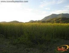 Paisajes en Manzanillo