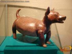 Escultura de Perro Colimote