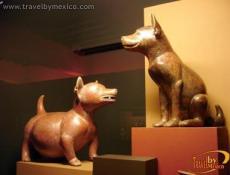 Museo Universitario Alejandro Rangel Hidalgo