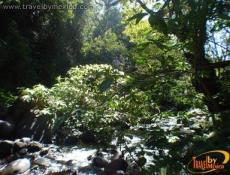 Barranca del RÃo Suchitlán.