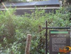 Centro Cultural Nogueras