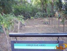 Cultivos orgÃ¡nicos.
