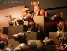 Museo Universitario Alejandro Rangel Hidalgo