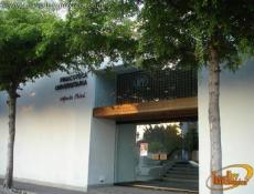 Pinacoteca Universitaria Alfonso Michel