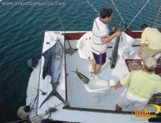 Sport Fishing in Manzanillo, Manzanillo