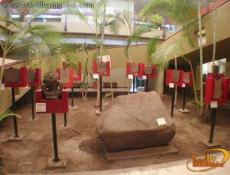 Museum of Western Cultures, Colima