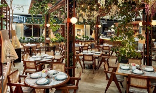 Aida Café, Ciudad de México