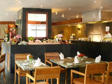 Galeria Plaza Reforma, Galeria Plaza Reforma