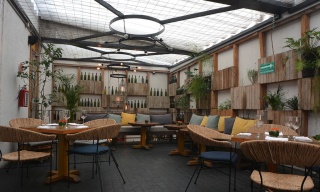 Salicornia Placeres de Ensenada, Ciudad de México