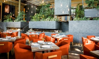 Nueve Nueve Bistro Mexicano, Ciudad de México