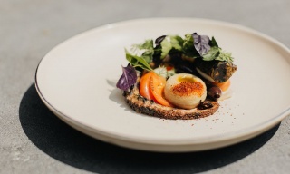 Pujol, Ciudad de México