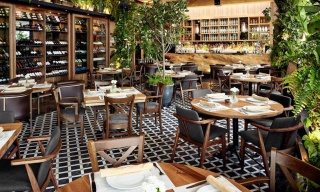 Sylvestre, Ciudad de México