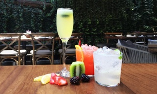 The Comrade, Ciudad de México