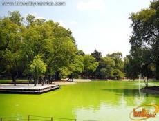 Lagos de Chapultepec en MÃ©xico D.F
