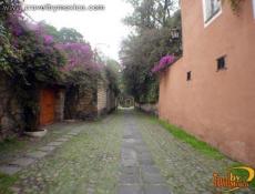 Una calle empedrada de San Ángel